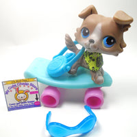 Littlest Pet Shop Collie #67 with accessories My Cute Cheap Store