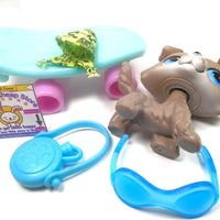 Littlest Pet Shop Collie #67 with accessories My Cute Cheap Store