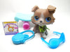 Littlest Pet Shop Collie #67 with accessories My Cute Cheap Store
