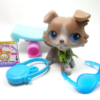 Littlest Pet Shop Collie #67 with accessories My Cute Cheap Store