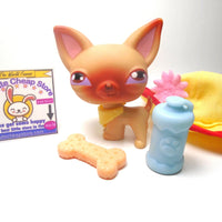 Littlest Pet Shop Chihuahua #1 with accessories My Cute Cheap Store