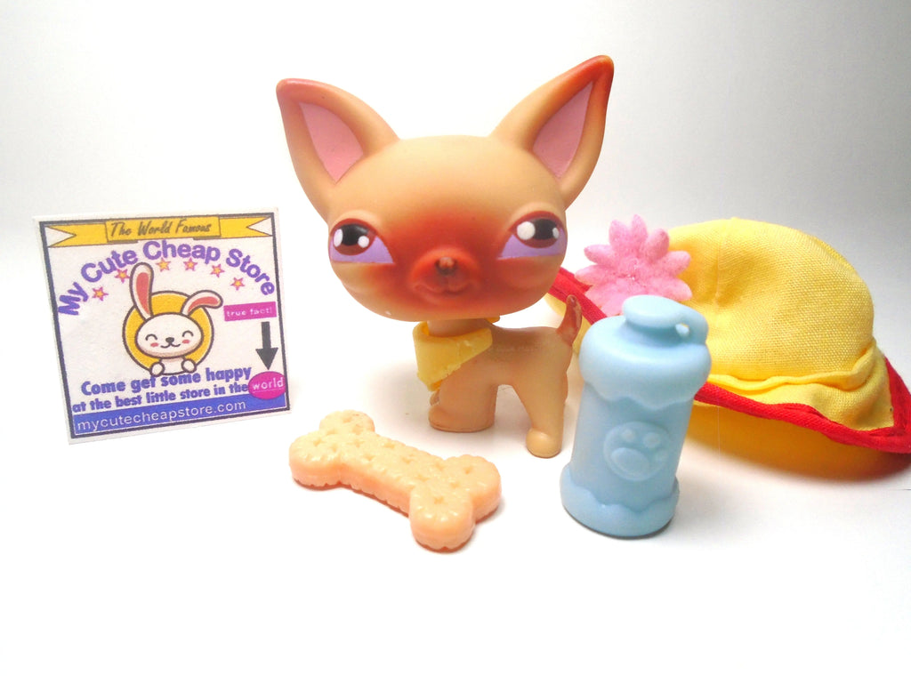 Littlest Pet Shop Chihuahua #1 with accessories My Cute Cheap Store