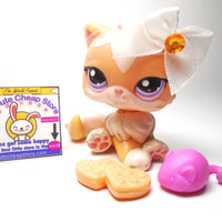 Littlest Pet Shop Persian cat #1657 with accessories My Cute Cheap Store