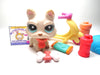 Littlest Pet Shop Westie Highland dog # 2059 with cute accessories My Cute Cheap Store