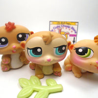 Littlest Pet Shop Triplets Hamsters with accessories My Cute Cheap Store