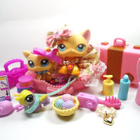 Littlest Pet Shop short hair cat #339 "Brooke " with Unique and Cute accessories and a Cricket and Kitten My Cute Cheap Store