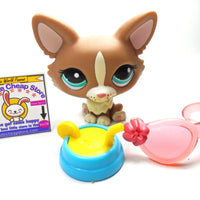 Littlest Pet Shop Welsh Corgi dog #1864 with accessories My Cute Cheap Store