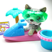 Littlest Pet Shop Husky dog #210 with accessories My Cute Cheap Store