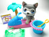 Littlest Pet Shop Husky dog #210 with accessories My Cute Cheap Store