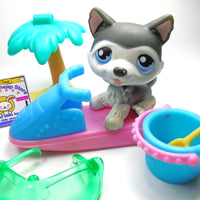 Littlest Pet Shop Husky dog #210 with accessories My Cute Cheap Store