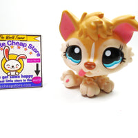 Littlest Pet Shop Baby Husky #1013 My Cute Cheap Store