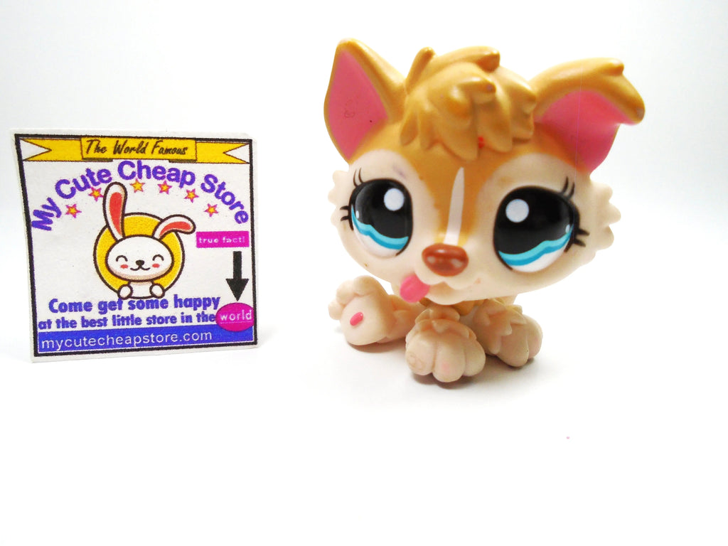 Littlest Pet Shop Baby Husky #1013 My Cute Cheap Store