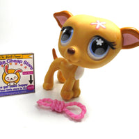 Littlest Pet Shop Greyhound #498 with accessory My Cute Cheap Store