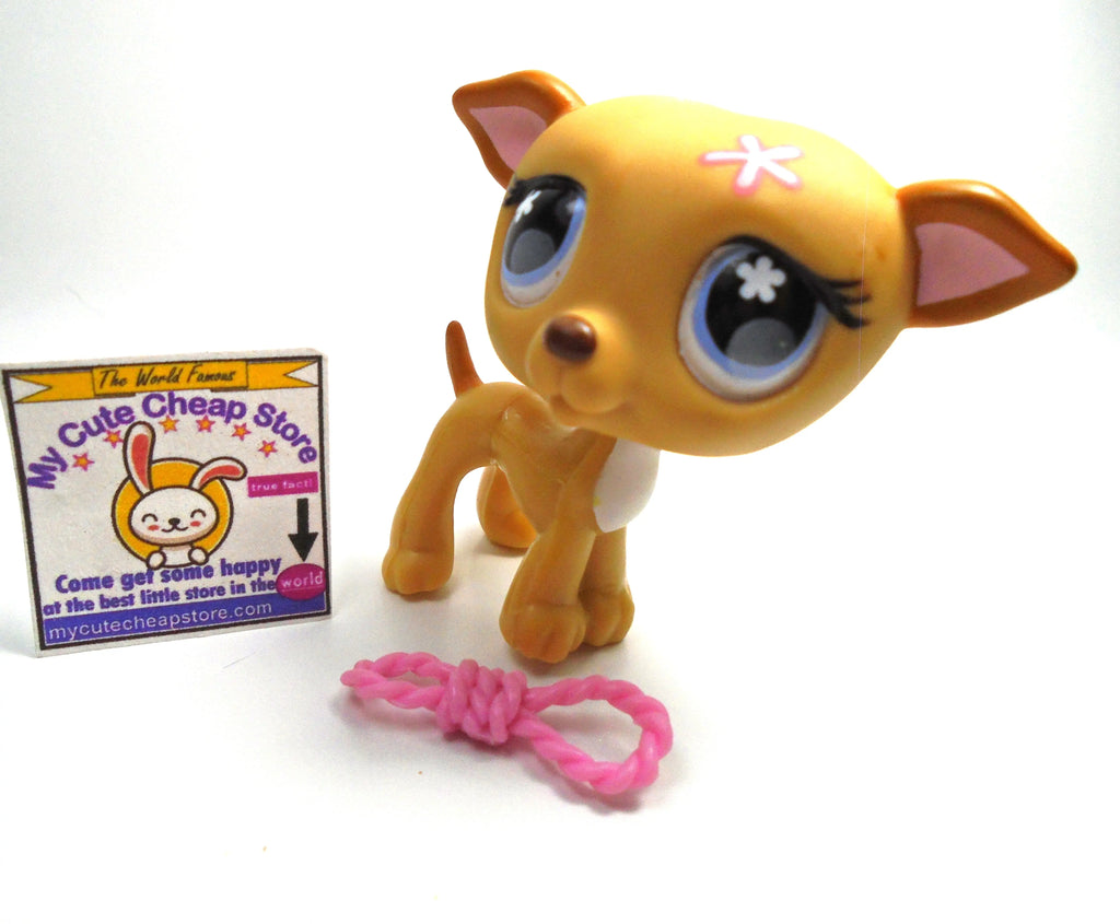 Littlest Pet Shop Greyhound #498 with accessory My Cute Cheap Store