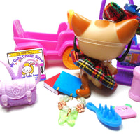 Littlest Pet Shop short hair cat #1024 with cute and unique accessories My Cute Cheap Store