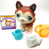 Littlest Pet Shop Husky dog #68 with accessories My Cute Cheap Store