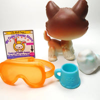 Littlest Pet Shop Husky dog #68 with accessories My Cute Cheap Store