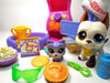 Littlest Pet Shop Great Dane #577 "Tom Dawson " with cute accessories My Cute Cheap Store