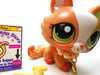Littlest Pet Shop Crouching cat #1868 with accessories My Cute Cheap Store