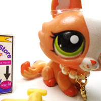 Littlest Pet Shop Crouching cat #1868 with accessories My Cute Cheap Store
