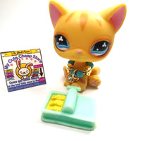 Littlest Pet Shop Pink heart diary sitting cat  with accessories - My Cute Cheap Store