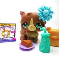 Littlest Pet Shop Brown Persian cat #371 with accessories My Cute Cheap Store