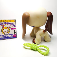 Littlest Pet Shop Basset Hound dog #1594 with accessories My Cute Cheap Store
