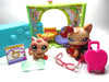 Littlest Pet Shop short hair cat #1024 and kitten #1818 with cute school accessories My Cute Cheap Store