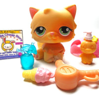 Littlest Pet Shop Persian cat #217 with cute accessories My Cute Cheap Store