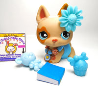Littlest Pet Shop German Shepard #604 with cute accessories My Cute Cheap Store