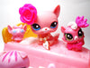 Littlest Pet Shop Rare Pink Sitting cat #2593 with unique and cute accessories plus minis My Cute Cheap Store