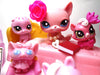 Littlest Pet Shop Rare Pink Sitting cat #2593 with unique and cute accessories plus minis My Cute Cheap Store