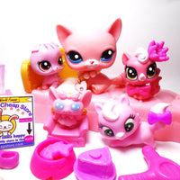 Littlest Pet Shop Rare Pink Sitting cat #2593 with unique and cute accessories plus minis My Cute Cheap Store