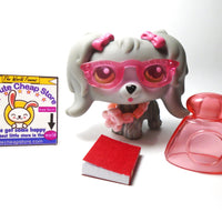 Littlest Pet Shop Maltese dog 3193 with accessories My Cute Cheap Store