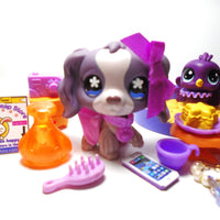 Littlest Pet Shop purple Cocker Spaniel #672 with cute accessories My Cute Cheap Store
