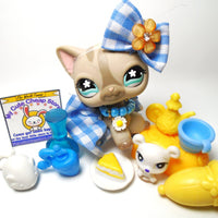 Littlest Pet Shop short hair cat #468 with cute and unique accessories My Cute Cheap Store