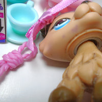 Littlest Pet Shop Collie dog #893 with cute and unique accessories My Cute Cheap Store