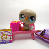 Littlest Pet Shop messiest Pigeon #812 with accessories My Cute Cheap Store