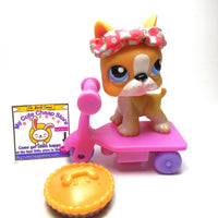 Littlest Pet Shop Yellow Boston Terrier with accessories My Cute Cheap Store