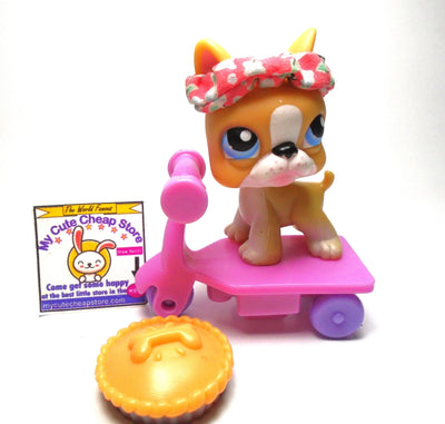 Littlest Pet Shop Yellow Boston Terrier with accessories My Cute Cheap Store