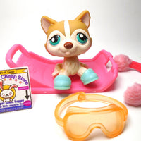 Littlest Pet Shop Around the World Husky #386 with accessories My Cute Cheap Store
