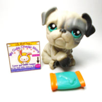 Littlest Pet Shop Bulldog #508 with accessory My Cute Cheap Store