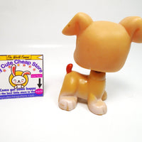 Littlest Pet Shop Boxer dog #235 My Cute Cheap Store