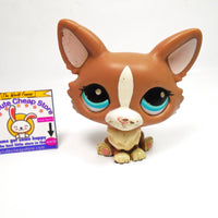 Littlest Pet Shop Welsh Corgi #1864 My Cute Cheap Store