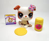 Littlest Pet Shop Bulldog #2106 with accessories My Cute Cheap Store