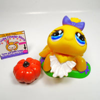 Littlest Pet Shop Spider #593 with accessories My Cute Cheap Store
