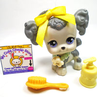Littlest Pet Shop Poodle #292 with accessories My Cute Cheap Store