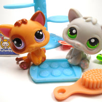 Littlest Pet Shop Kitten #2414 and #88 with cute accessories