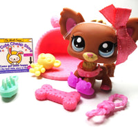 Littlest Pet Shop Chihuahua # 1623 with cute accessories My Cute Cheap Store