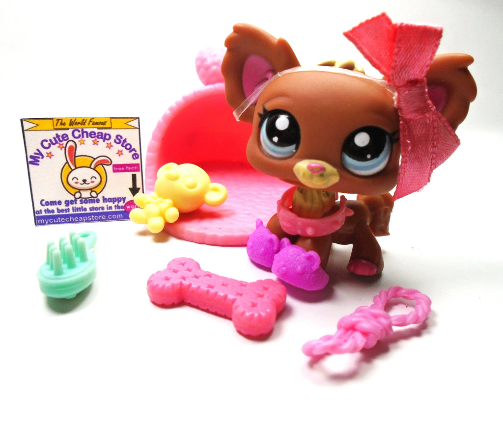 Littlest Pet Shop Chihuahua # 1623 with cute accessories My Cute Cheap Store